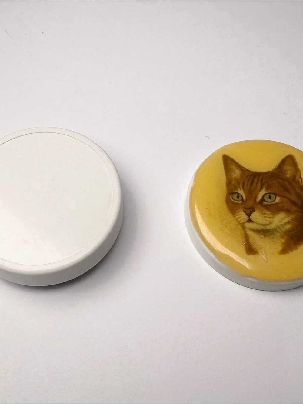 Vintage Orange Ginger Tabby Cat Head Portrait Trinket Pill Box Divider Organizer